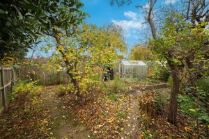 Photo 11- click for photo gallery